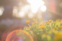 成长档案短语：轻松记录孩子成长轨迹，让教育更有温度