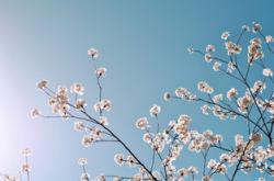 教育成长故事怎么写？掌握这些技巧轻松写出动人故事