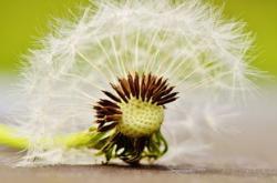 关于教育成长的句子：点亮人生旅程的智慧箴言，助你轻松实现持续成长与自我超越