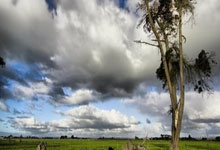 关于成长教育的作文素材：轻松积累优质内容，告别写作烦恼