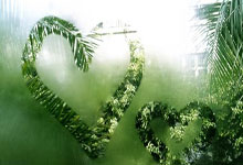 学生成长档案记录表：轻松记录孩子成长轨迹，告别零散资料烦恼