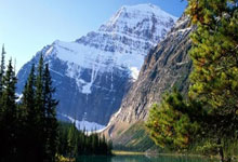 学生成长档案记录表：轻松记录孩子成长轨迹，告别零散资料烦恼