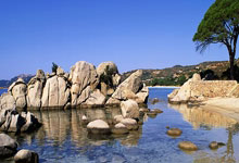 成长教育 rmvb 下载全攻略：轻松获取经典教育电影，解决资源难找与播放问题