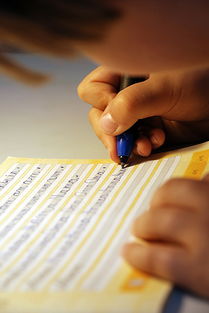 成长档案内容写什么？完整指南助你轻松记录孩子成长每一步